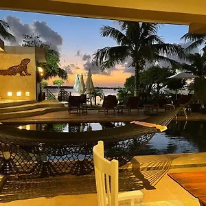Bahia Tolok *** Isla Mujeres