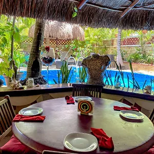 Cocos Adults Only 3*, Playa del Carmen Mexique